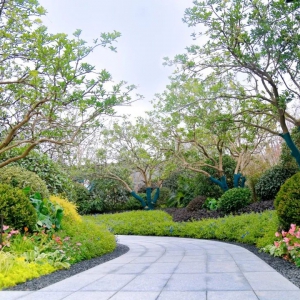 別墅庭院設(shè)計(jì)的后期如何養(yǎng)護(hù)继往开来？